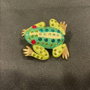 Colorful Frog Reptile Ornament